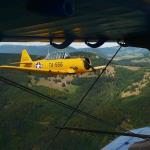 CAF Fly In Birrfeld 11.8.2018